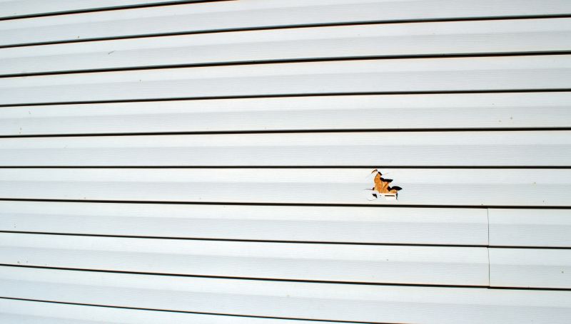 Inspecting Vinyl Siding Damage